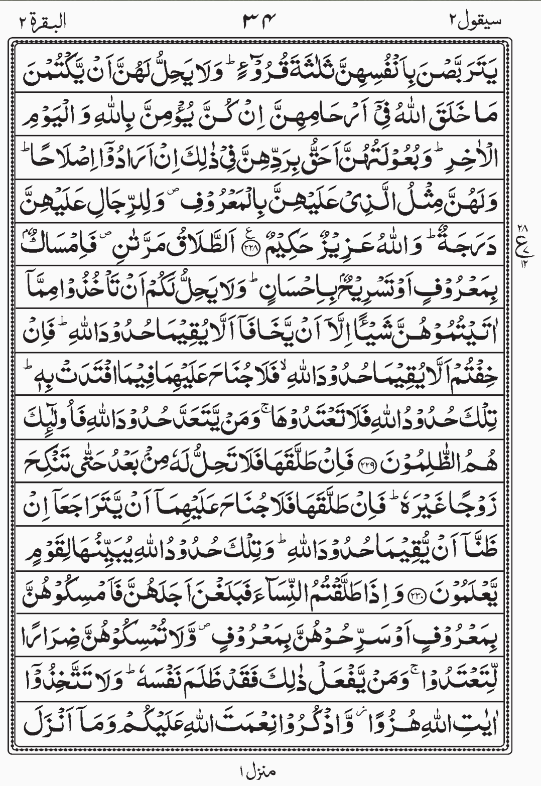 Read Surah Al Baqara, Sayaqool, Para 2, Juz 2.