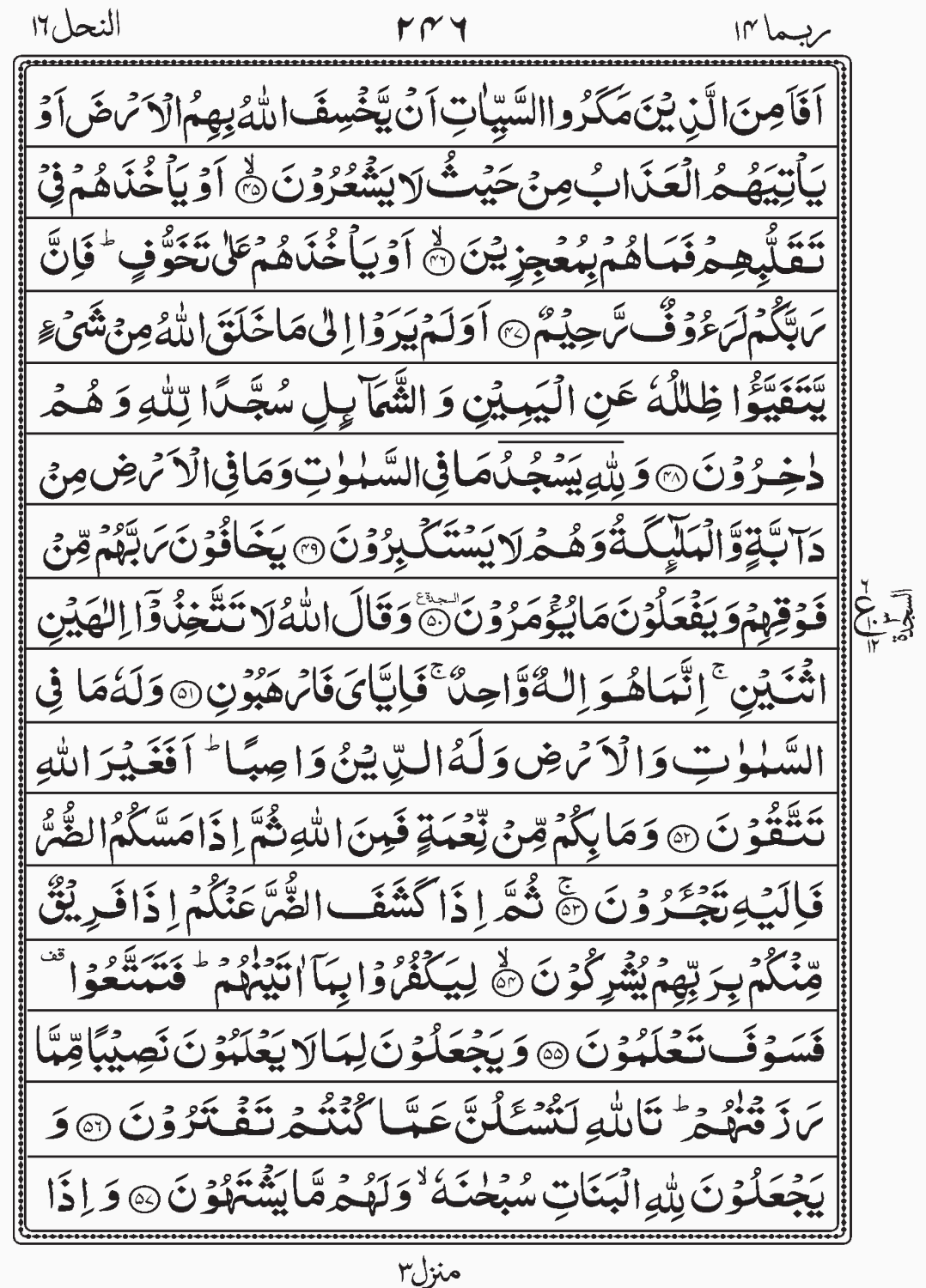 Read Quran, Surah An Nahl, Rubama, Para 14, Juz 14. Sajda 3, Third Sajda,