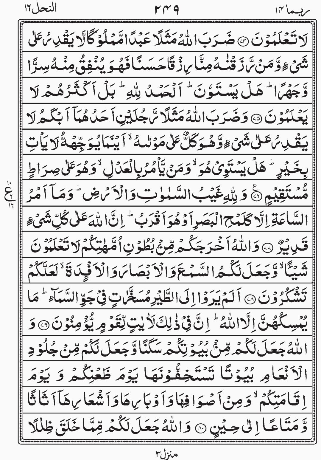 Read Surah An Nahl, Rubama, Para 14, Juz 14.