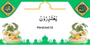 Read the 16-line Quran, Juz 11 Yatazeroon