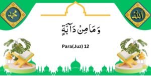 Read the 16-line Quran, Juz 12 Wa Mamin Daabat