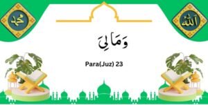 Read the 16-line Quran, Juz 23 Wa Mali